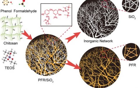 Angew. Chem. Int. Ed.:阻燃和隔热的酚醛树脂-二氧化硅气凝胶