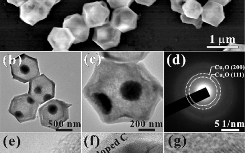 ACS Catalysis:氮掺杂多孔碳包覆Cu2O立方八面体核壳结构有效增加光生载流子