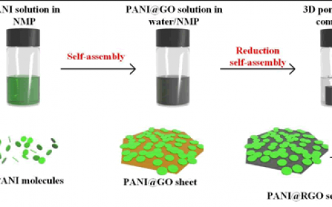 厦门大学Energ. Environ. Sci:用于高性能超级电容器的分子水平均匀的多孔聚苯胺/还原氧化石墨烯自组装复合材料