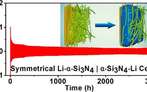 西北工业大学Nano Letters:多孔介质中锂枝晶生长抑制机理