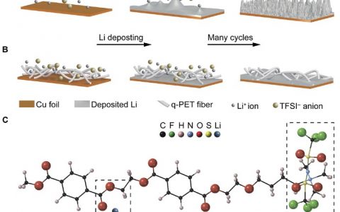 浙大陆盈盈Sci.Adv.: 电池亦需“阴阳调和”-正负离子调节助力无枝晶锂金属电池