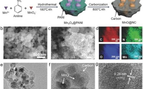 南京大学金钟课题组Adv. Funct. Mater.: 核桃状多核壳结构MnO@NC纳米胶囊改善锂离子电池负极性能