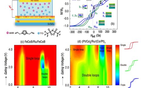 西交大Nature子刊:通过离子液体调控人工反铁磁材料中的RKKY效应
