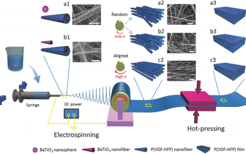 清华大学Adv. Mater.:三维纳米结构调控助力超高能量密度和高放电效率聚合物纳米复合材料