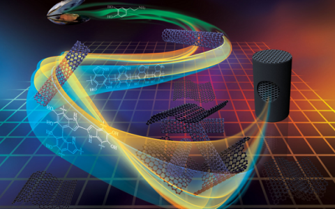 北京化工大学隋刚教授:用于高效有机污染物清除的石墨烯气凝胶