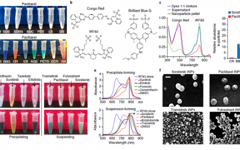 Nat. Mater.:定量自组装预测产生有针对性的纳米药物