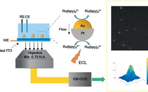 催化材料前沿研究成果精选【第5期】