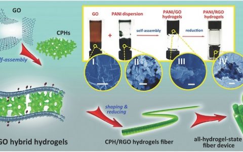 Adv. Mater.: 通过3D石墨烯/纳米结构导电聚合物水凝胶实现可拉伸全凝胶态纤维状超级电容器