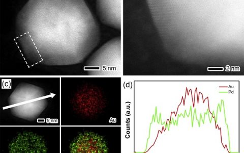 张辉&邬剑波Sci. Bull.: 多金属AuPd@Pd@Pt核-中间层-壳二十面体电催化剂在高效氧还原(ORR)反应中的应用