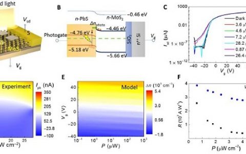 Science Advances:MoS2/PbS范德瓦尔斯异质结中的非易失性存储设备的红外记忆