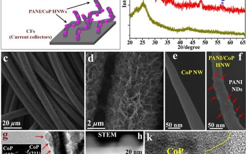 中山大学JACS:通过弱化聚苯胺/磷化钴杂化纳米线表面上氢离子的束缚实现类铂析氢电催化