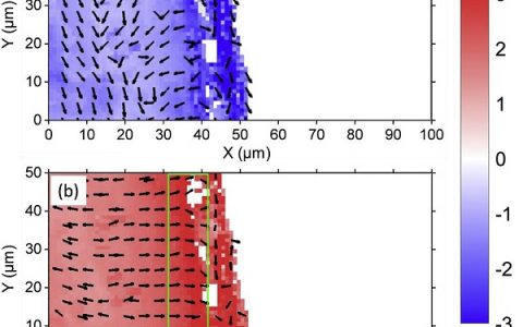 Acta Materialia:高温液相Pb-Bi二元合金中Fe-Cr-Al合金块体表面氧化层的形成对应变的影响