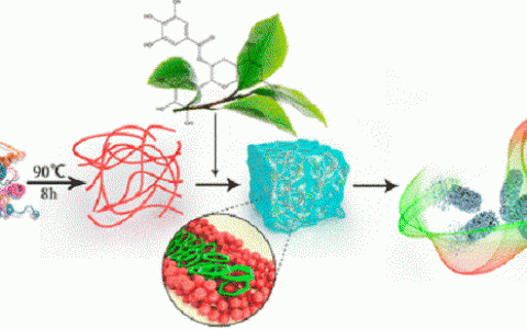 高分子材料前沿研究成果精选【第1期】