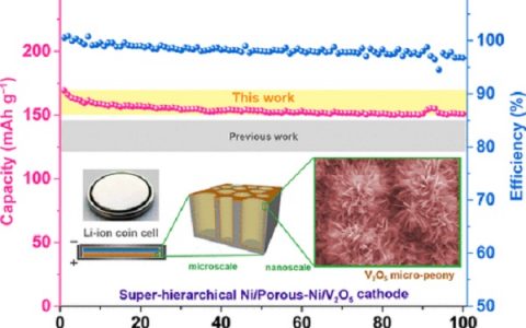 美国德克萨斯A&M大学 ACS AEM:新型纳米超分级结构Ni/Porous-Ni/V2O5高性能储锂电极