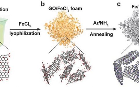 江苏大学许辉Adv. Energy Mater.:氮掺杂石墨烯基Fe单原子催化剂用于电催化CO2还原