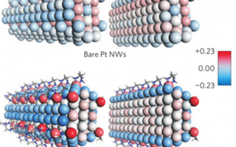 金属材料前沿研究成果精选【第2期】|过渡金属