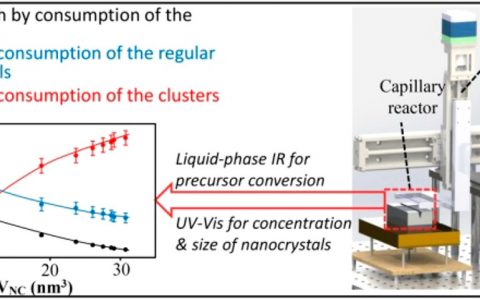 浙江大学JACS:单分散纳米晶体的基本生长通道的定量鉴定