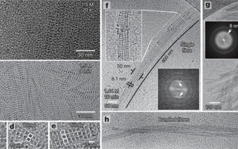 今日Nature:晶体多晶型选择的分子成核机理与控制策略