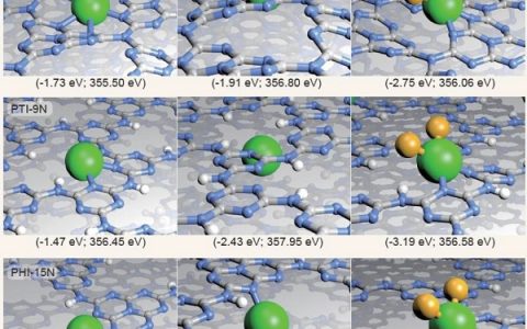 苏黎世联邦理工学院Natl. Sci. Rev.: 基于不同氮化碳载体的单原子非均相催化剂