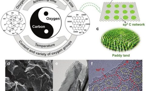 哈尔滨工程大学Adv. Funct. Mater.: “水稻田”与石墨烯:兼具超高比容量及倍率性能超级电容器电极材料的结构设计与可控制备