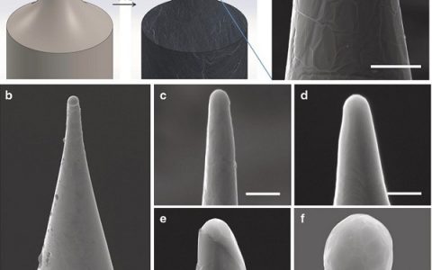新加坡国立大学Nat. Commun.: 应用于聚焦电子束的高亮度大尺寸石墨烯涂覆的冷场点发射源