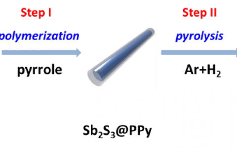 武汉理工大学麦立强教授 “管中棒状”氮掺杂空心碳管包覆锑复合材料的精准制备及其高效的储锂/储钠性能