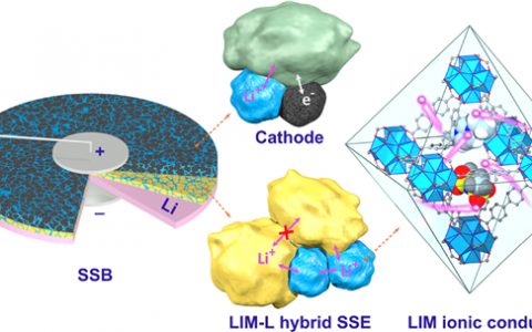 北大深圳研究院潘锋Nano Energy:固态电池中,MOF即离子导体促进界面Li+传输
