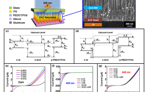 西安交大Nano Energy:同时利用正负压电电荷的压电光电子学效应调制三层异质结光电器件性能
