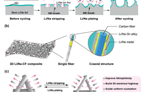 马里兰大学胡良兵Advanced Energy Materials:无枝晶碱金属阳极的3D可润湿性框架