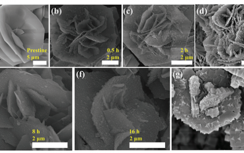 复旦大学AEM:氢氧化镍转化为三维普鲁士蓝类似物阵列获得Ni2P / Fe2P作为高效氢反应催化剂