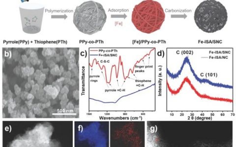 清华大学李亚栋院士Advanced Materials:共聚物热解法制备S,N共掺杂碳负载的Fe单原子用于高效氧还原反应