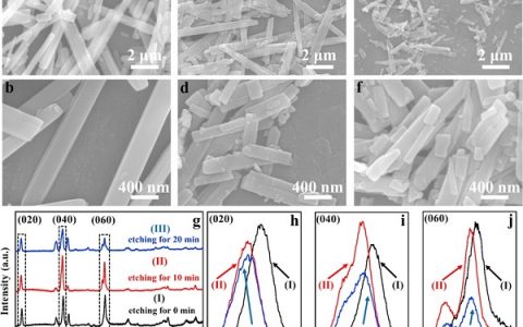 武汉理工麦立强Nano energy:等离子刻蚀三氧化钼制造氧缺陷实现储锂结构稳定及可逆容量提升