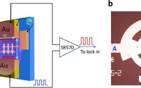 上海技物所陈效双、陆卫团队NPG Asia Materials: 操控石墨烯无序热电子实现高灵敏太赫兹探测