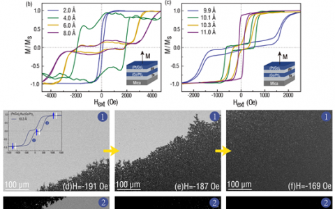 西交大Advanced Materials:电场可调低功耗可穿戴自旋电子器件