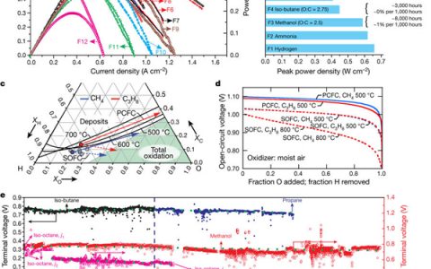 马里兰大学Nature:高度耐用,焦化和耐硫,燃料灵活的质子陶瓷燃料电池