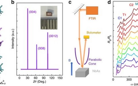 Nat. Commun.:Weyl半金属NbAs与多拓扑载体的手性朗道能级