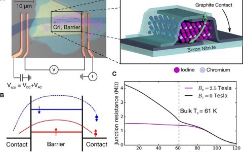 Science:通过电子隧穿在2D范德华晶体绝缘体中探测磁性