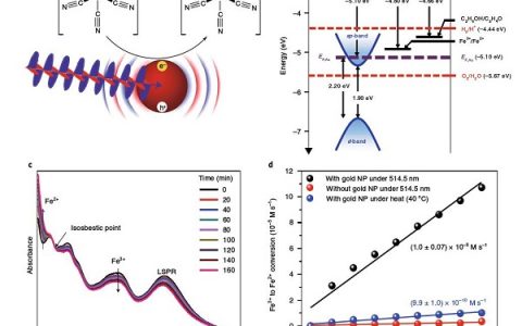 Nat. Chem.:金纳米粒子的等离子体激发产生的多个电子空穴对