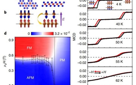 Nature Materials:二维范德华磁体的电场翻转