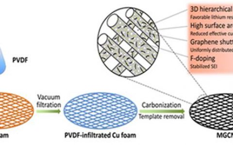 Nano Energy: 一种采用3D掺氟石墨烯/多孔碳网络制备稳定锂金属负极的协同策略