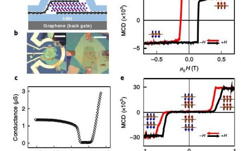 Nat. Nanotech.:静电掺杂控制2D CrI3中的磁性