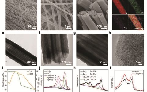 南洋理工Energy Environ. Sci. 楼雄文:通过模块策略实现具有高效电催化氧还原活性的单原子催化剂的构筑
