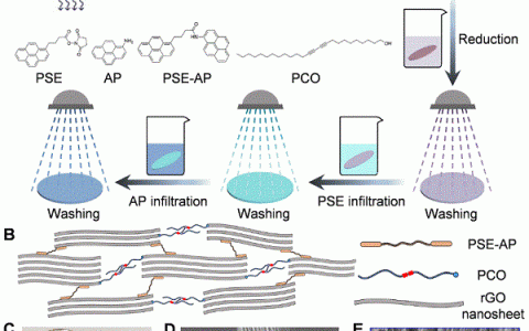 北航-程群峰PNAS:开发低温制成的高强度、超韧和高导电性的石墨烯片新型碳材料