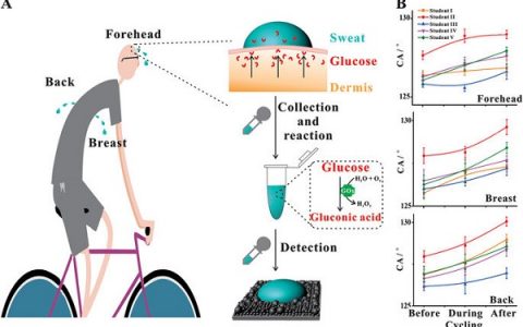 华科大NPG Asia Materials:基于ph响应的超润湿表面的裸眼点护理测试平台——对葡萄糖的无创检测