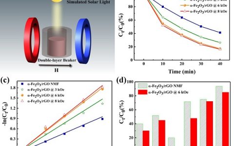 ACS Nano:磁场增强光催化性能研究