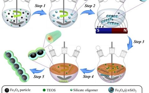 Advanced Materials:磁场诱导界面共组装策略合成磁性介孔二氧化硅纳米链