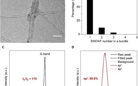 成会明院士&刘畅研究员Science Advances :超高性能单壁碳纳米管透明导电膜