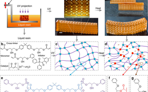 Nature Communications: 用于可持续3D打印的可再处理热固性光敏材料