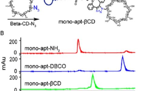 湖南大学谭蔚泓教授J. Am. Chem. Soc.: 超分子组装的圆形二阶适体用于增强功能蛋白质的传递