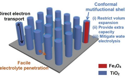武汉理工刘金平Adv. Funct. Mater.:原子层沉积赋予水系转化反应电极超长循环寿命